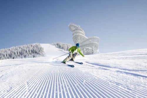 500x333 lyžař