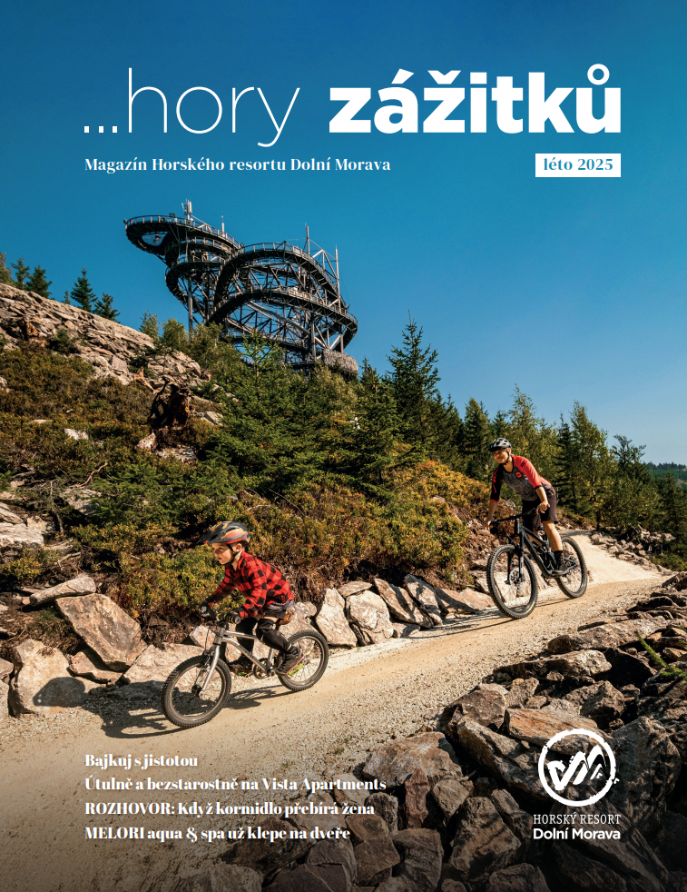 Snímek obrazovky 2025-06-27 142410