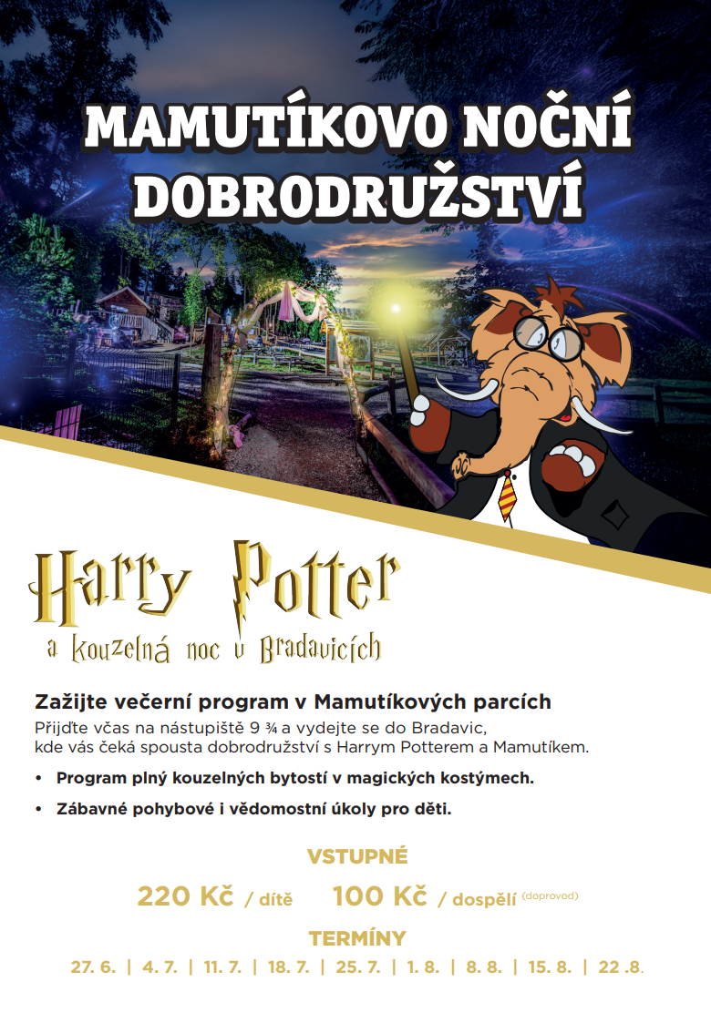 Snímek obrazovky 2025-06-04 082033