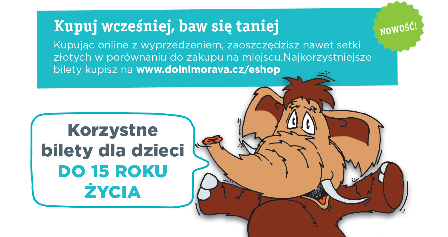 grafika-flexi-PL