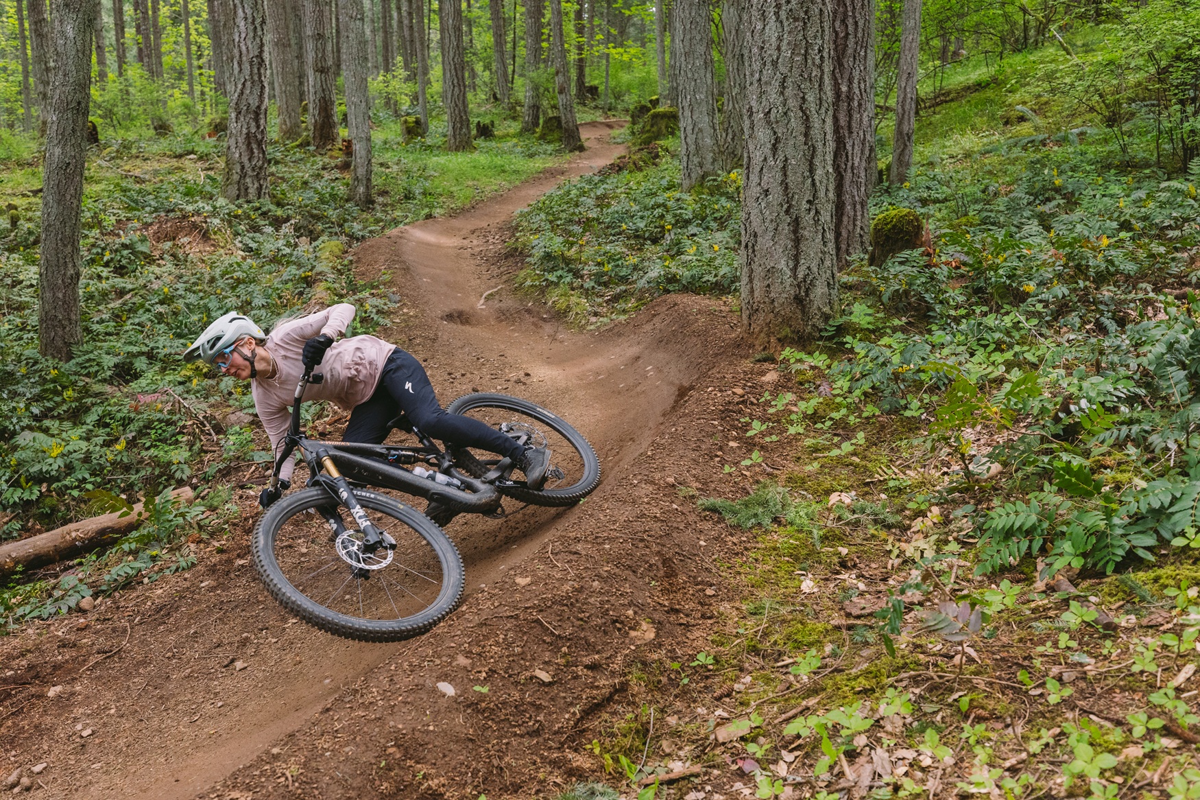 Specialized-kolo-title